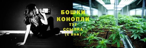 молекула духа Заволжск